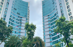 Bishan – Rafflesia Condominium